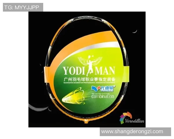 广州羽毛球队个人能力深度解析与发展探讨